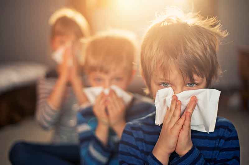 Alerjiye Neden Olan Bağışıklık Sistemi Var