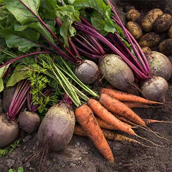 Kış Aylarında Vücudunuzu Zorlamadan Beslenmenin Yolları