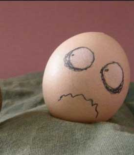 Yumurtadan Özür Dilemek
