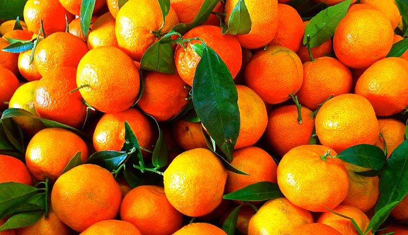 Kış Mevsimi En Çok Ne Yemeli C vitamin kaynağı