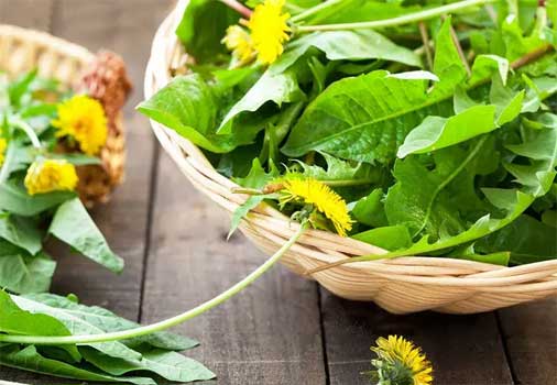Karaciğer İçin Detoks Gıdalar Neler?