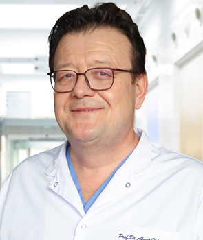  Prof. Dr. Ahmet Hilmi Kaya