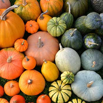 Kış Aylarında Vücudunuzu Zorlamadan Beslenmenin Yolları