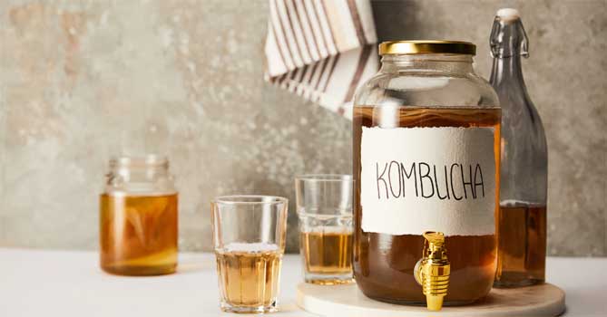 Kombu (Kombucha) Çayı Nasıl Kullanılır