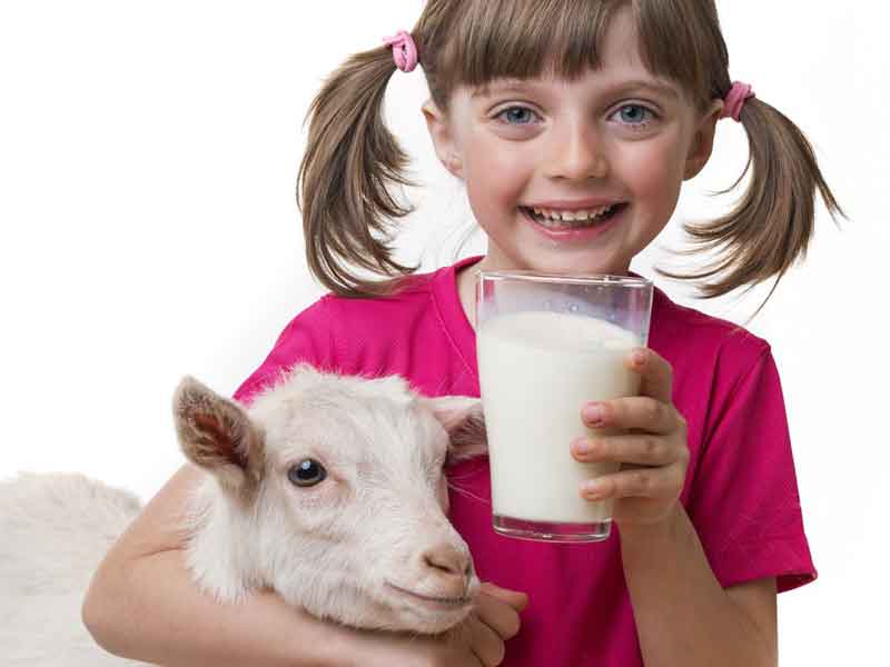 Süt İçmeyen Çocukların Gelişimi Risk Altında