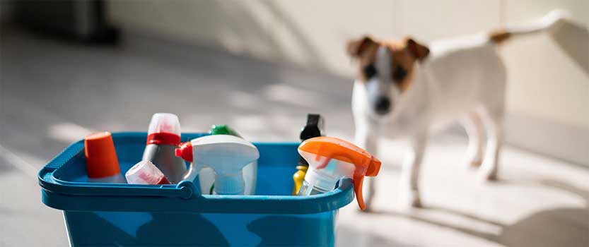 Zehirlenen biri neden kusturulmaz? Zehirlenen biri neden kusturulmaz?