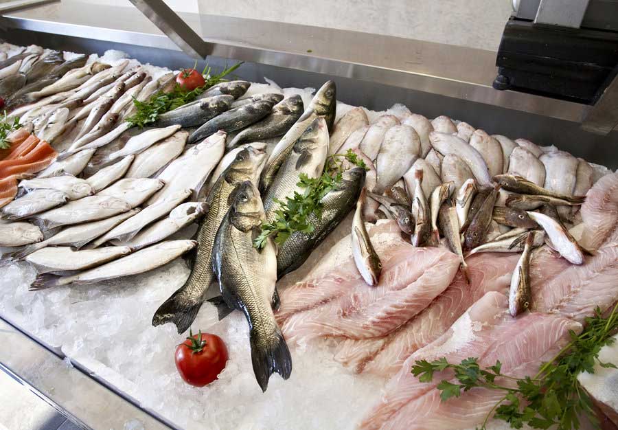Zengin Vitamin Deposu Balığı Tüketmek İçin 10 Önemli Sebep
