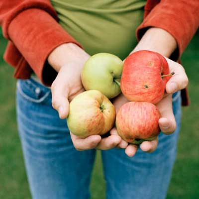 Antioksidan Kaynağı Sebze ve Meyveler Nelerdir