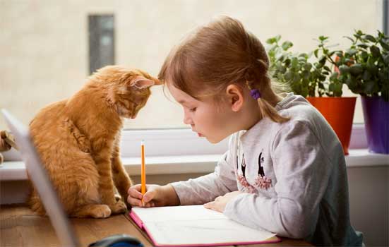 Okula Dönüş Süreci Kedi ve Köpeklerin de Rutinini Değiştiriyor Okula Dönüş Süreci Kedi ve Köpeklerin de Rutinini Değiştiriyor