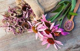 Kış Aylarında Bağışıklık İçin Dengeyi Korumak Önemli